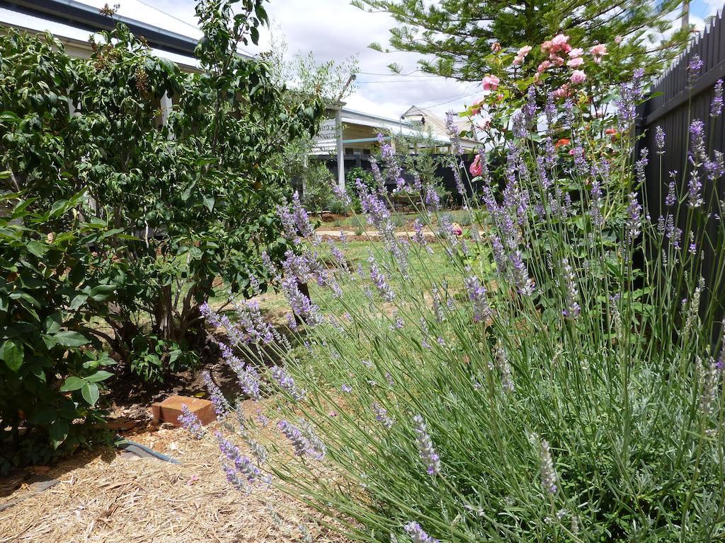 La Maison St Arnaud Rutherglen Buitenkant foto