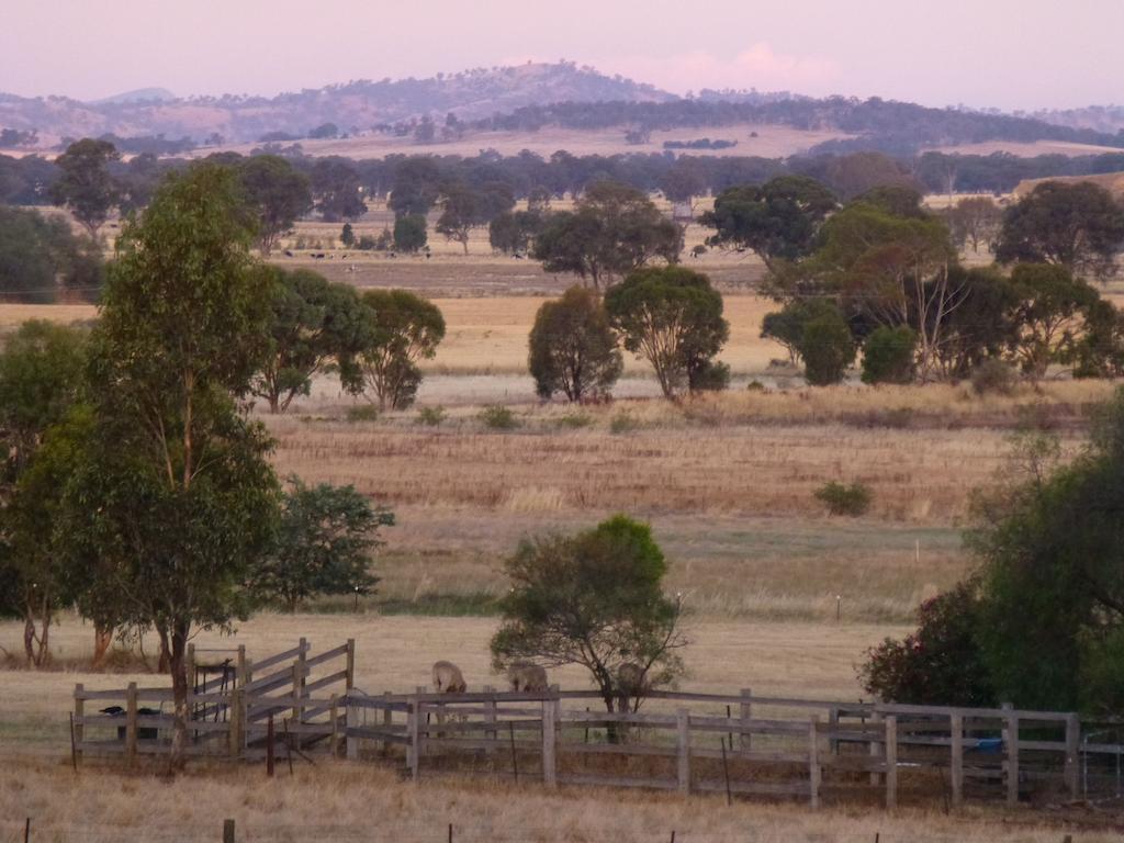 La Maison St Arnaud Rutherglen Buitenkant foto