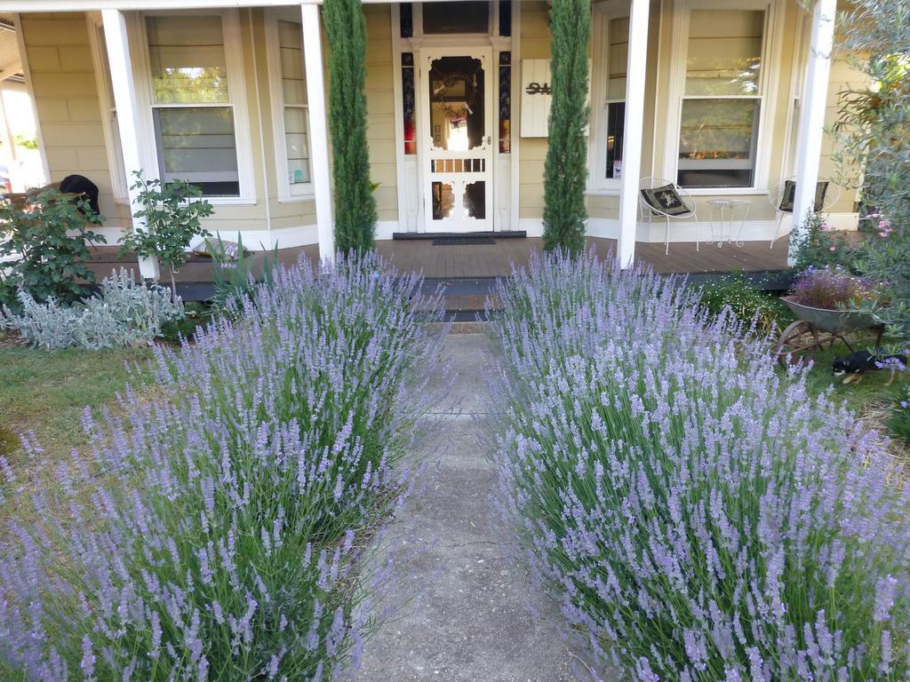 La Maison St Arnaud Rutherglen Buitenkant foto